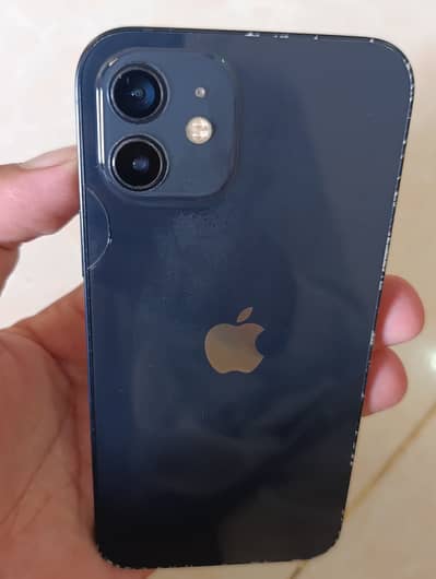 Apple iPhone 12