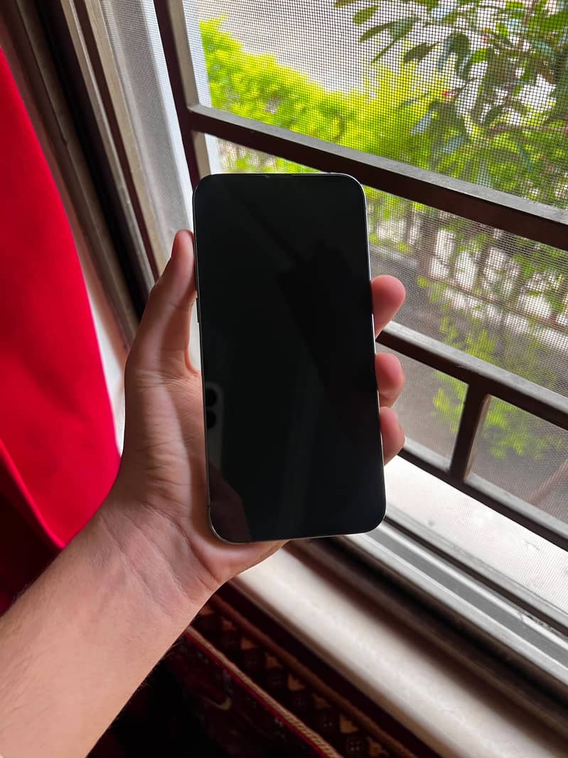 Apple iPhone 13 Pro Max 1