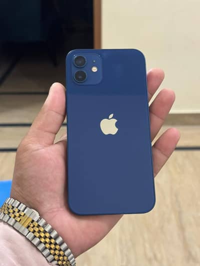 Apple iPhone 12 96 health