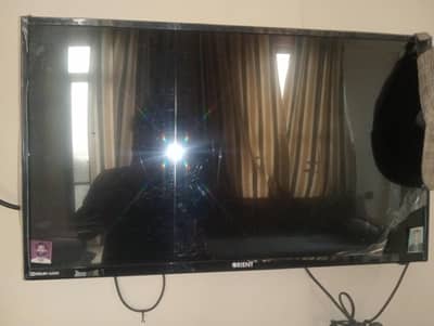 Orient Led for sale