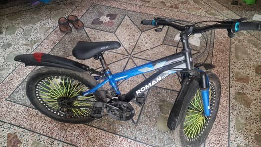 Roman Cycle for sale