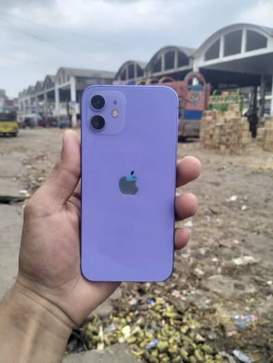 Apple iPhone 12