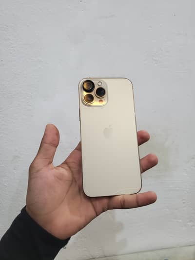 iPhone 13 Pro Max Exchange Possible