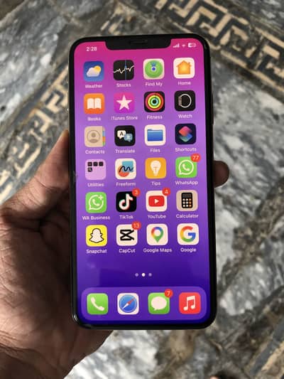iPhone XS Max pta aprowal ha