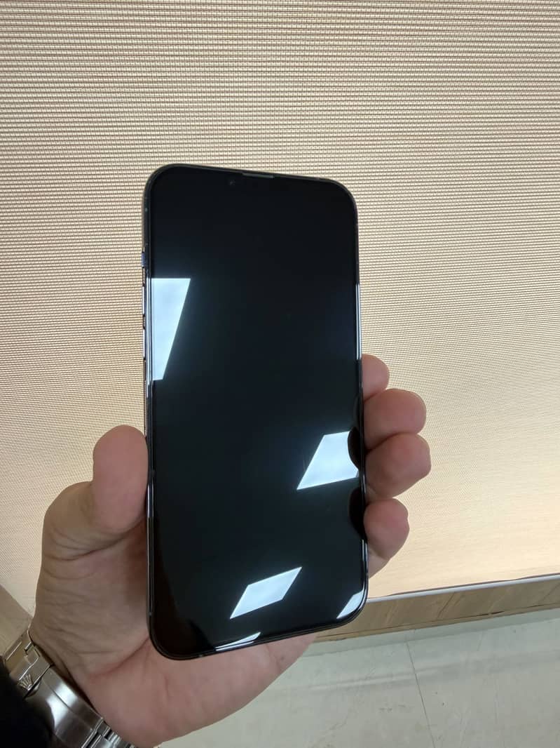 Apple iPhone 13 Pro Max 2