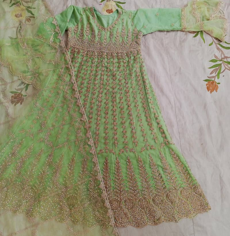 medium size 1
