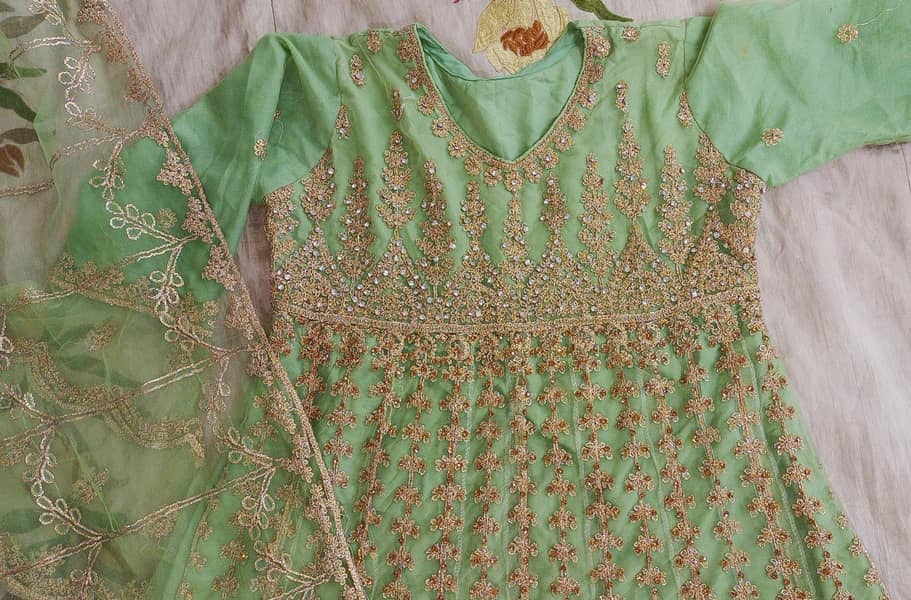 medium size 2