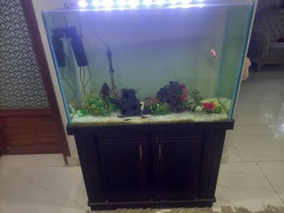 Aqurium 3 feet