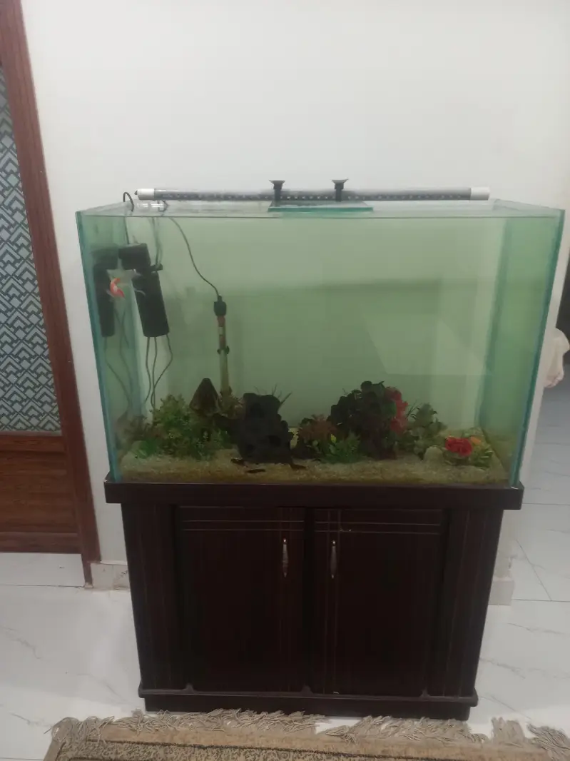 Aqurium 3 feet — photo 5