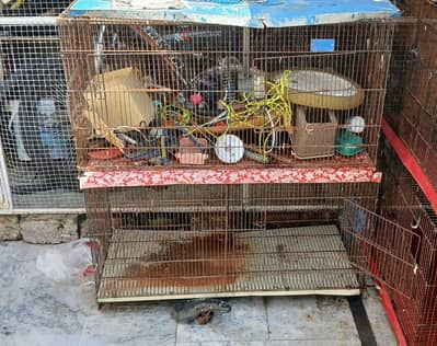 cages available for urgent sale
