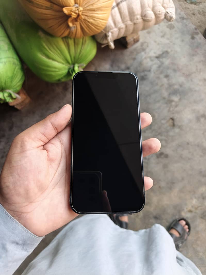 Apple iPhone 13 1