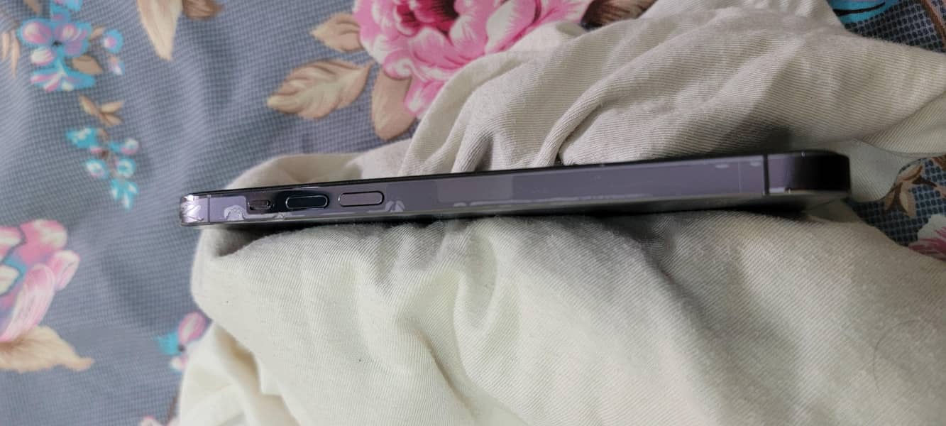 Apple iPhone 14 Pro Max 3