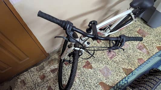 schwinn
