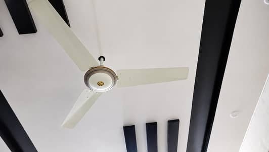 Ceiling Fans