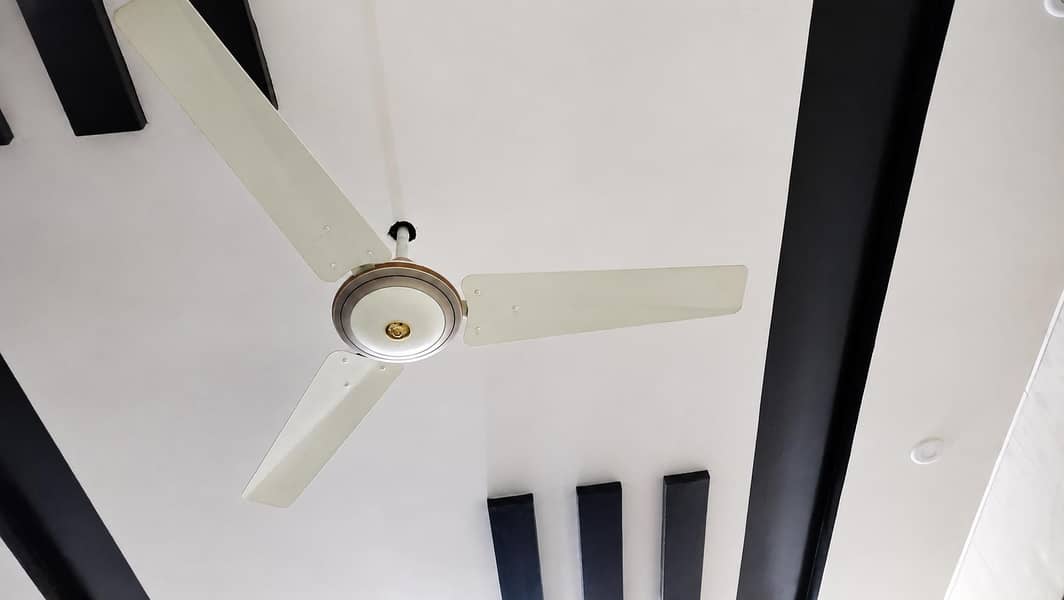 Ceiling Fans 0