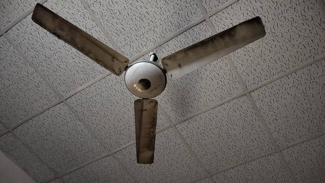 Ceiling Fans 1