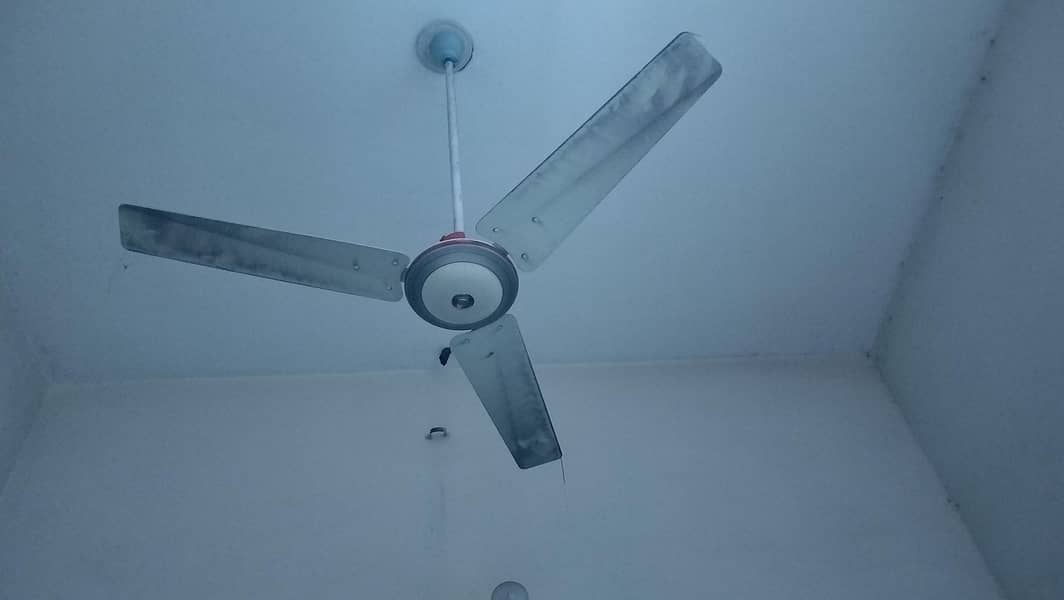 Ceiling Fans 2