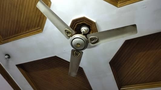Ceiling Fan