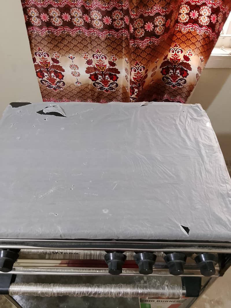 skyflame oven 2
