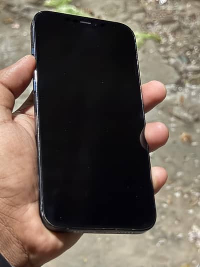 iPhone 12 pro max PTA