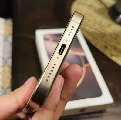 Apple iPhone 16 Pro Max