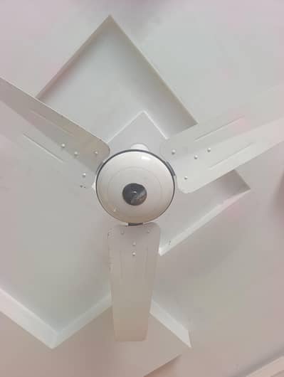 electric fan