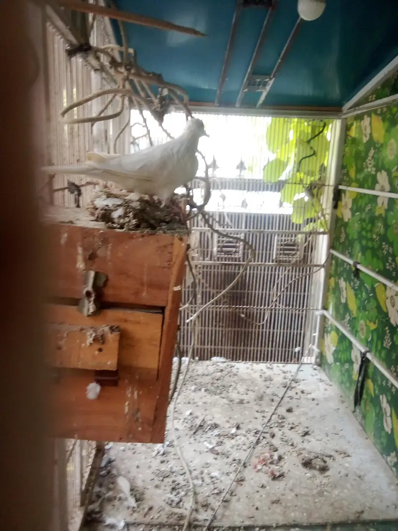 khumry for sale — photo 3
