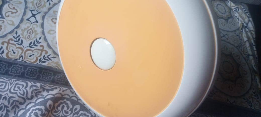 sonex ceiling fan 1