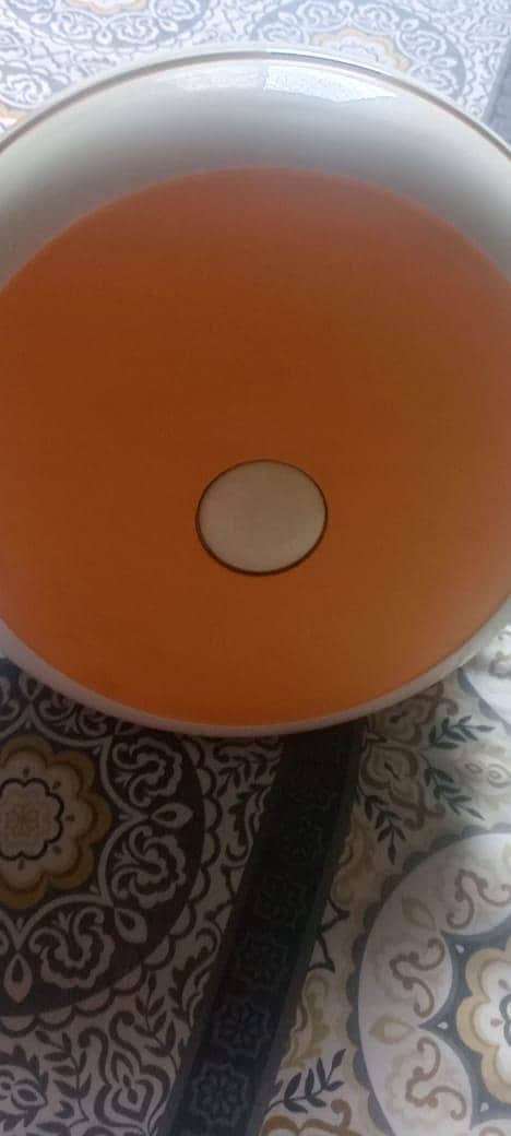 sonex ceiling fan 3
