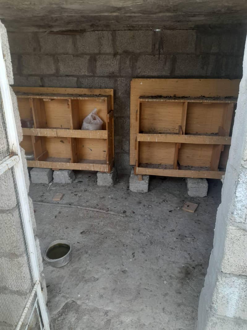 good condition 10/8 1
