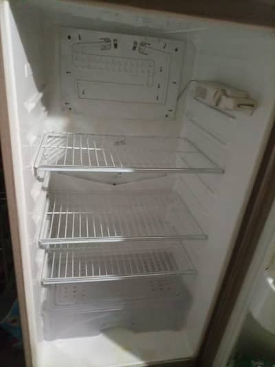new fridge