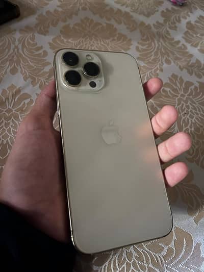 Apple iPhone 13 Pro Max