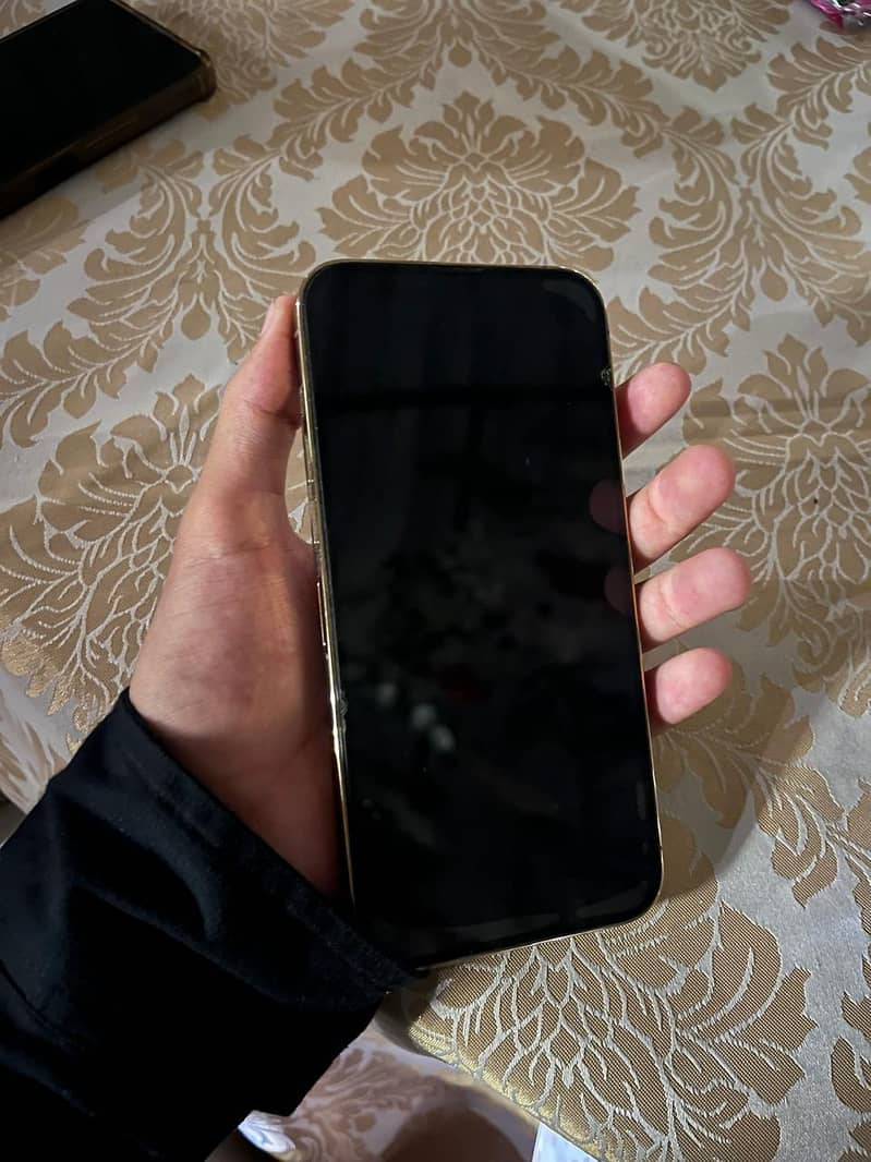 Apple iPhone 13 Pro Max 1