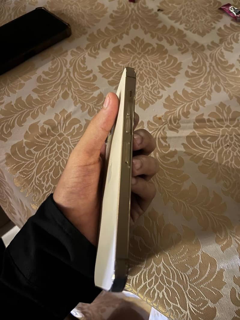 Apple iPhone 13 Pro Max 2
