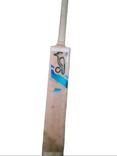Hard ball cricket bat . .  kookaburra