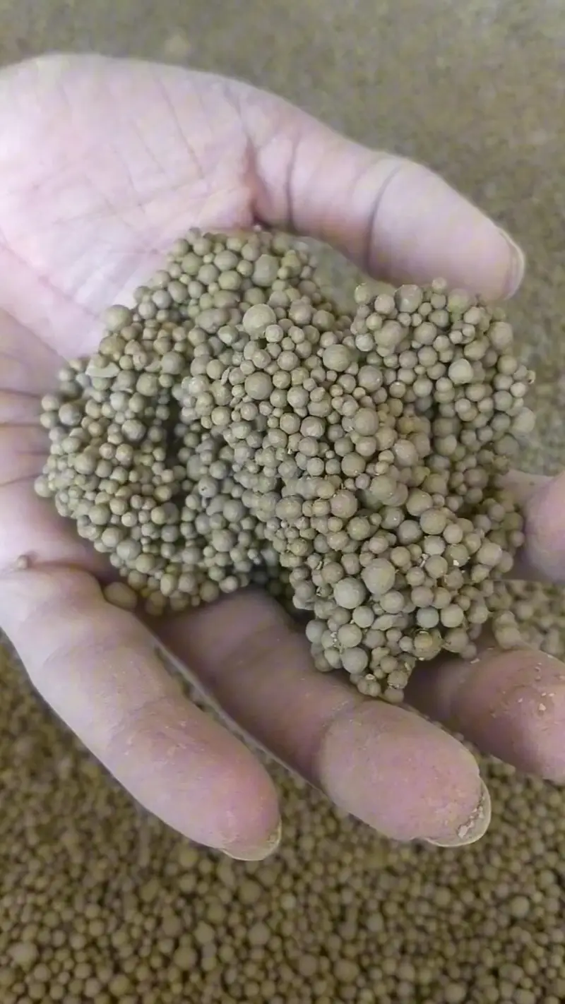Cat Litter [Limited Stock] | Bentonite | Unscented — photo 3
