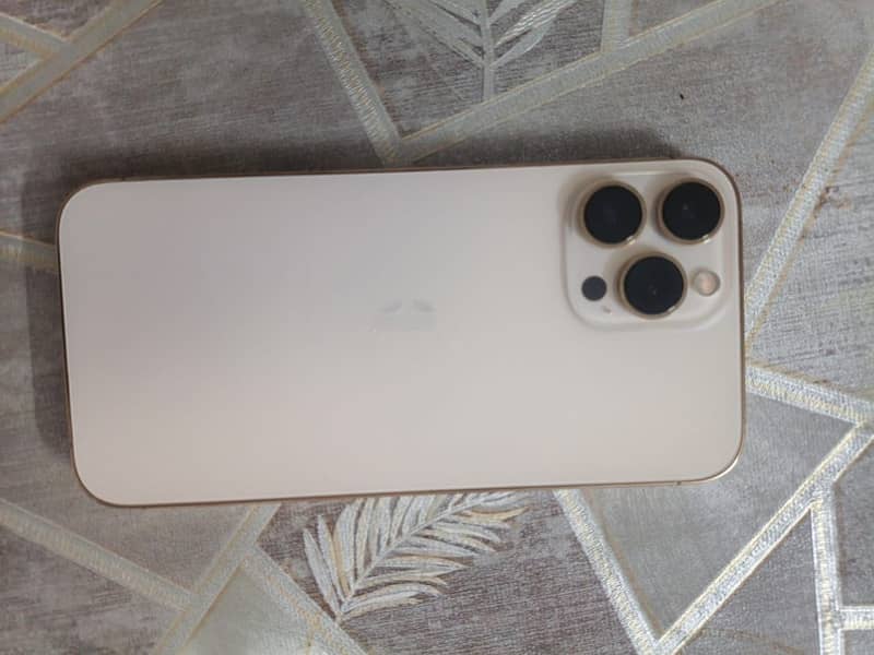 Apple iPhone 13 Pro Max 0