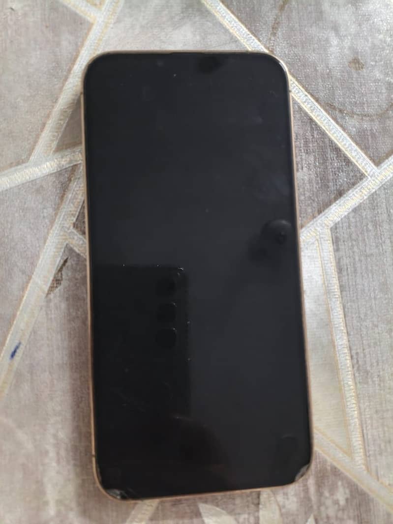 Apple iPhone 13 Pro Max 1