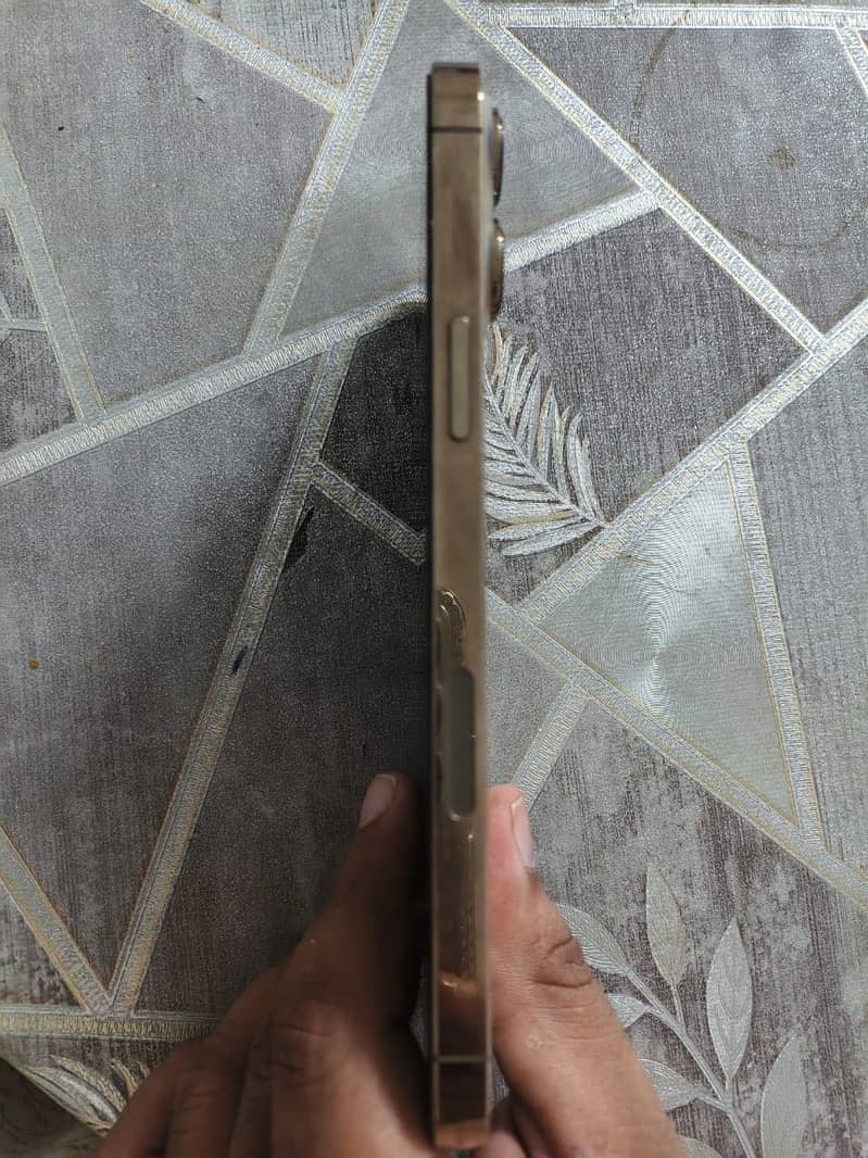 Apple iPhone 13 Pro Max 3