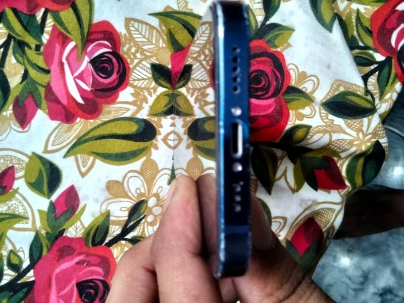 Apple iPhone 12 1