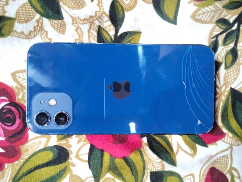 Apple iPhone 12 5