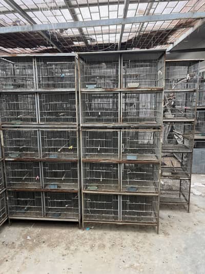 Parrots cage/love birds,cocktails,dove,conures