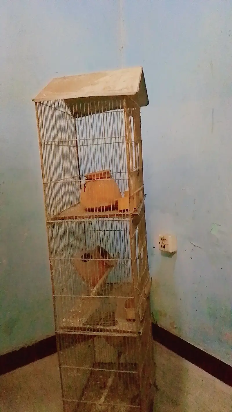 cage 3 partitions — photo 2
