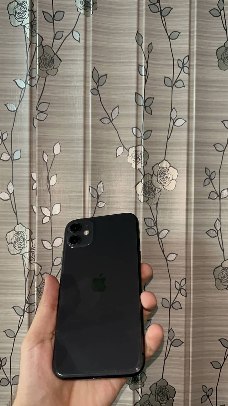 IPhone 11 0