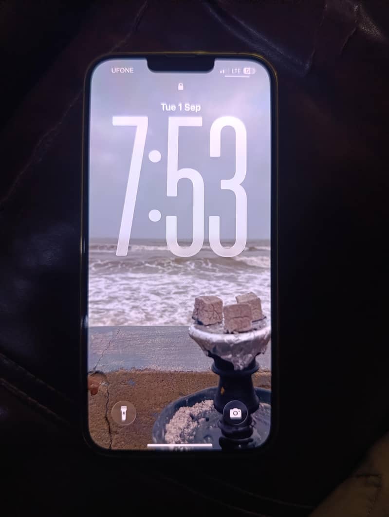 Apple IPhone 13 Pro Max 1