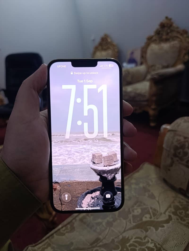 Apple IPhone 13 Pro Max 2