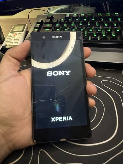 Sony Xperia Z Touch is broken and back is broken else everything works