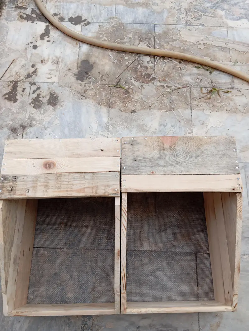 NEW ZEALAND WHITE RABBIT NEST BOX/Breeding Box — photo 3