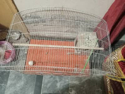 Bird Cage