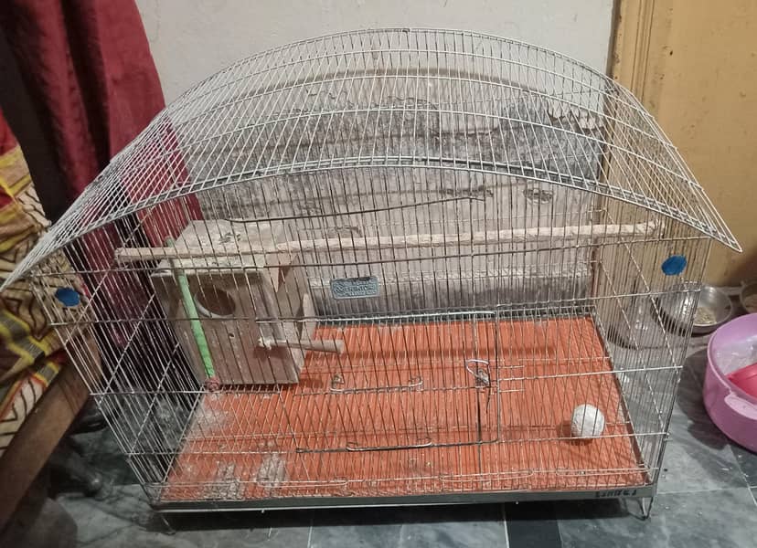 Bird Cage 1